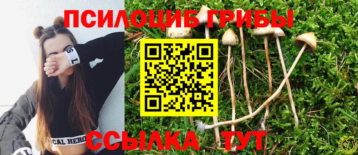 Псилоцибиновые грибы MAGIC MUSHROOMS Энгельс